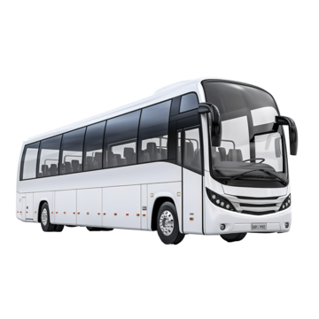 D Sınıfı Ehliyet -  Otobüs